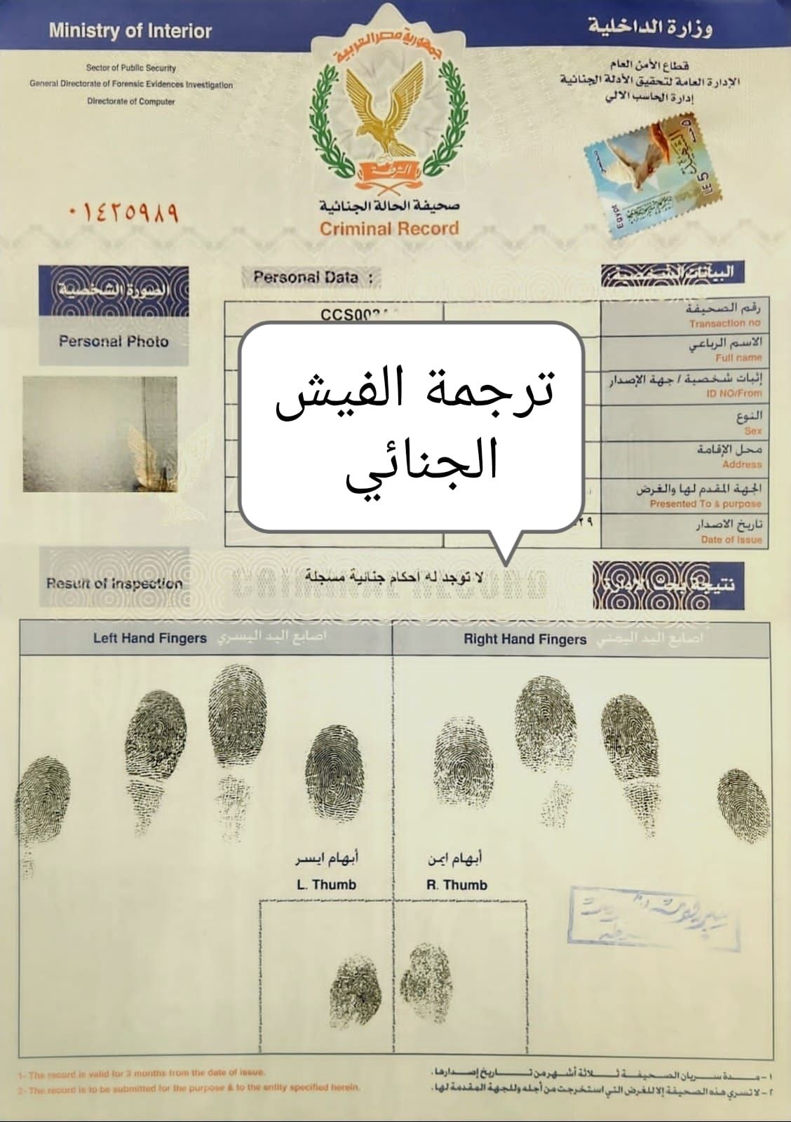 ترجمة الفيش الجنائي